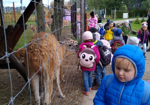 Dzieci przed wybiegiem dla antylop.